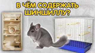 Клетка или витрина для шиншиллы – что лучше?