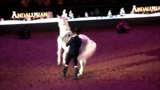 The Royal Andalusian School of Equestrian Art 2013