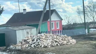 Главе Муромцевского р-на СПАСИБО🙏 Камышино-Курское — село Омской области  2024 г 🇷🇺