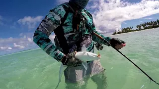 Cocos island fishing 2018