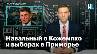 Навальный о Кожемяко и выборах в Приморье