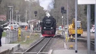 Die Harzquerbahn 2019: von Wernigerode bis Eisfelder Talmühle und zurück