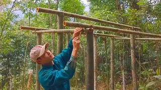 bamboo house building - forest life