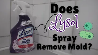 Does Lysol Spray Remove Mold | How Do You Use Lysol Mold and Mildew Remover With Bleach