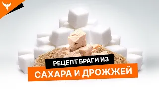 Брага из сахара и дрожжей/ Пропорции/ Рецепт/Рекомендации