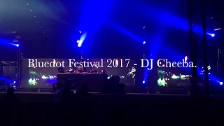 Bluedot Festival 2017 - DJ Cheeba.
