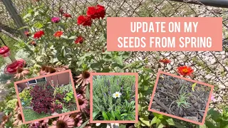 *UPDATE* 🌿 Everything I started from seed indoors Spring of 2023 👩🏼‍🌾 Crochet, Garden, Repeat