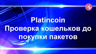 PLC Group AG PlatinCoin  Проверка кошельков до покупки пакетов_20.07.17