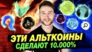 💵 Эти альткойны сделают 10.000% - LIME, HERO, DOT, TONCOIN, BLOK 🚀 Скам Umi, Artr, Cwd❗️