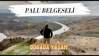 Tarihi Palu Belgeseli / Էլազըգ Բալու շրջանի վավերագրական ֆիլմ/ Elazyg Balu shrjani vaveragrakan film