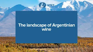 The landscape of Argentinian wine