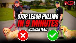 How to Stop Leash Pulling Now! Pro Tips for Success