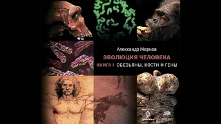 Александр Марков – Обезьяны, кости и гены. [Аудиокнига]