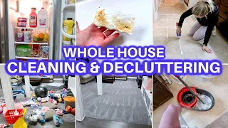 WHOLE HOUSE CLEAN WITH ME DECLUTTER ORGANIZE | DAYS OF SPEED CLEANING MOTIVATION | CLEANING ROUTINE