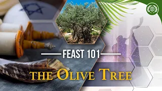 FEAST 101: Did You Know? | The Olive Tree