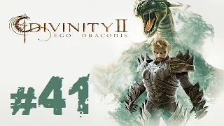 Прохождение Divinity II: Ego Draconis - Часть 41 (В Алерот)