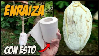 ACODO AÉREO CON PAPEL HIGIÉNICO - PASO A PASO