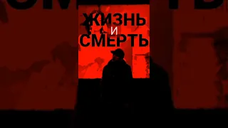 ДМХ Playdog -Жизнь и Смерть 2023