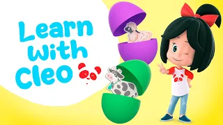 Discover the animals with Cleo's surprise eggs and more Cleo's educational videos for children