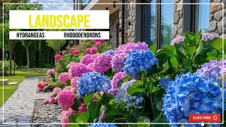 Landscape design| Hydrangeas Rhododendrons compositions ideas