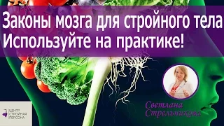 Законы мозга для стройного тела. Используйте на практике! /Светлана Стрельникова, Светлана Краузе