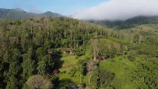 Chiang Mai Elephant Friends