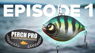 PERCH PRO 6 - Episode 1