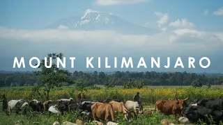 Mount Kilimanjaro | Lemosho 7 Day