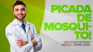 CUIDADO COM AS PICADAS DE MOSQUITO - Dr Lucas Fustinoni - Médico - CRMPR 30155