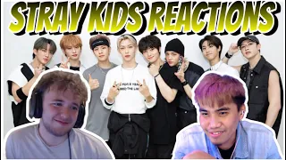 Stray Kids reaction videos from our live streams (Requested by Chat) #straykids #SKZ