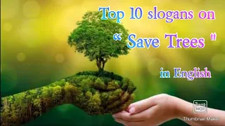 Top 10 slogans on Trees in English | Slogan on Save Trees in English | Save Trees slogans in English