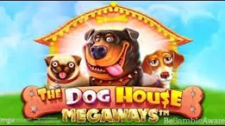 The dog house megaways ( epic win) !!!