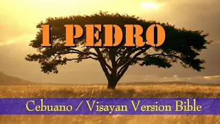 CEBUANO AUDIO BIBLE: 1 PEDRO (PETER) 1 - 5 | NEW TESTAMENT