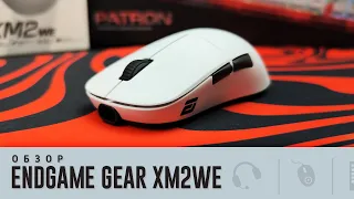 Обзор Endgame Gear XM2WE. Четко. Почти как Lamzu