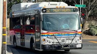 Sonoma County Transit 2018 BYD K7M 501 on route 12