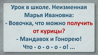 Анекдот! Вовочка и Курица!