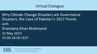 Virtual Dialogue: Why Climate Change Disasters are Governance Disasters