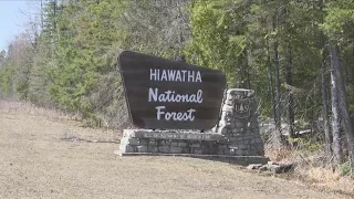 Sault Tribe enters into forest management partnership with Hiawatha National Forest