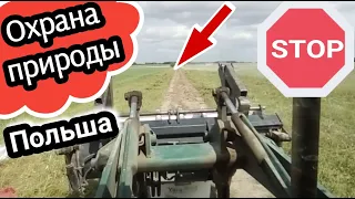 ОХРАНА ПРИРОДЫ в Польше запретила копать!