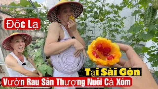 Độc Lạ Vườn Rau Sân Thượng Nuôi Cả Xóm Tại Sài Gòn Của Anh Búp