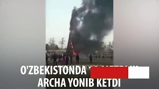 O'zbekistonda 20 metrlik archa yonib ketdi daxshat yondi 😲 2019