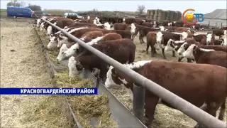 Мраморная говядина по Ставропольски