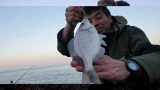 PECHE a FOND de DORADES en BORD de MER