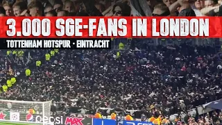 Tottenham Hotspur - Eintracht Frankfurt: SUPPORT der SGE-Fans in London (12.10.2022)