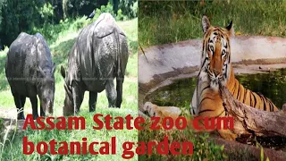Assam State Zoo | guwahati Zoo | Assam State Zoocum and Botanical Garden |
