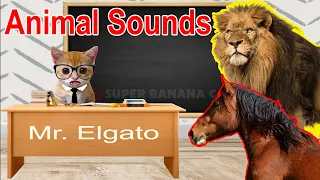 BANANA CAT CLASS - Animal Sounds for Children (20 Amazing Animals)