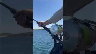 MASSIVE MARLIN SHORE FISHING