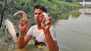 Unique Hunting | Giant Catfish Catching From Underwater of River