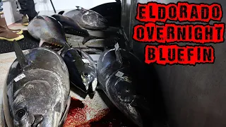 SPEED JIGGING FOR BLUEFIN ON THE ELDORADO SPORTFISHING REVERSE OVERNIGHT