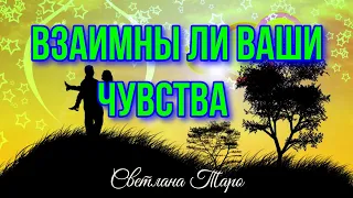 Взаимны ли ваши чувства.Таро отношения.